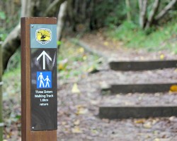 Sunday Walkabout – Broken Head Nature Reserve IMG_0048